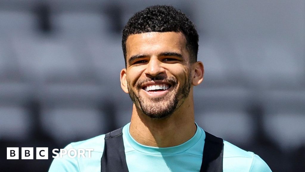 Dominic Solanke: Tottenham sign Bournemouth striker for £65m - BBC.com