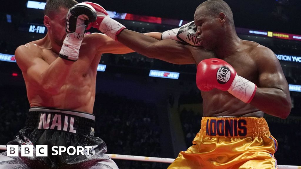 Knockout: In Boxing, Brain Damage Is the Goal