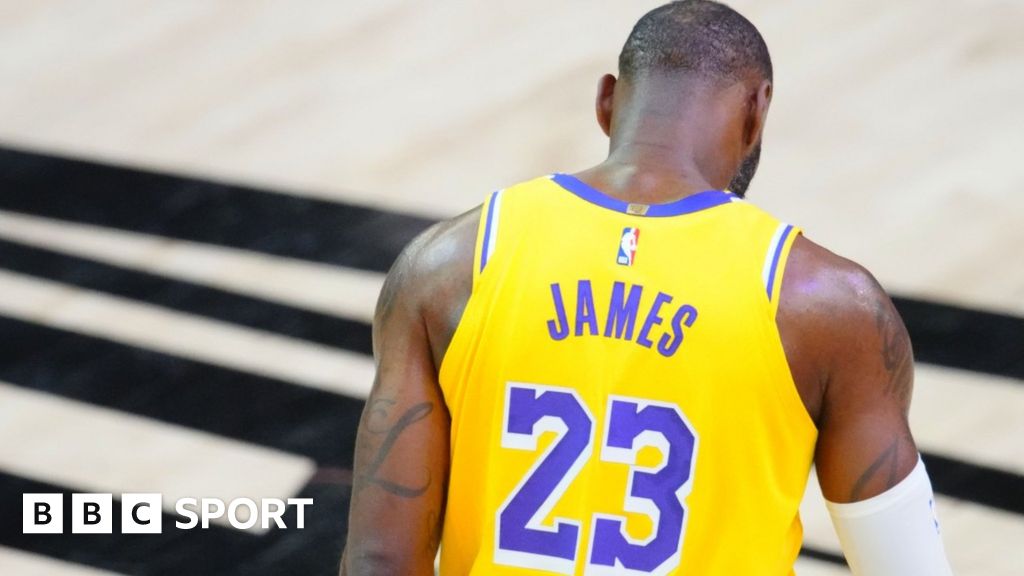 lebron james the mule