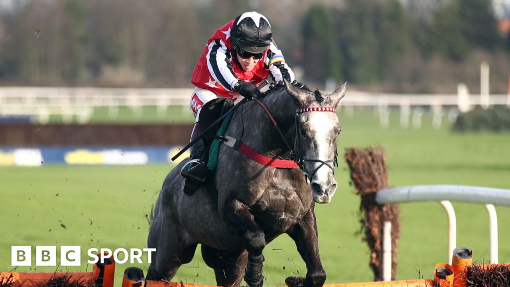 Cheltenham Festival Straw Fan Jack entry 'dream come true' for trainer