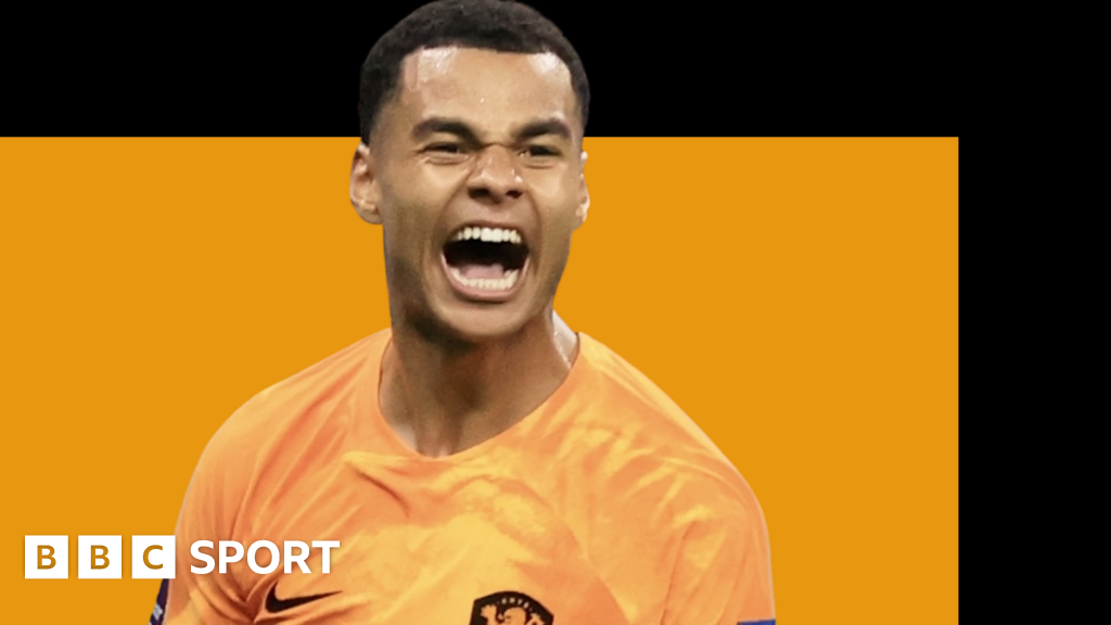 World Cup 2022 Netherlands Cody Gakpo Can Go To The Moon And Back Virgil Van Dijk Bbc Sport