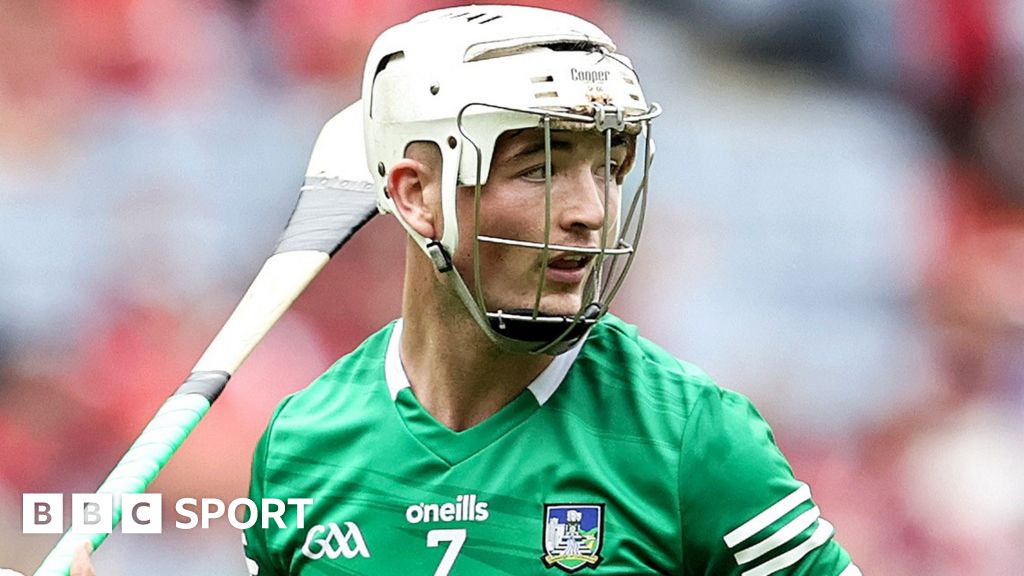 Hurling AllStars Limerick secure record 12 awards with beaten All