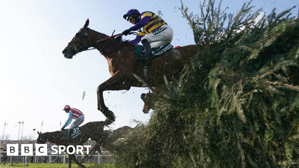 Grand National line-up at Aintree confirmed