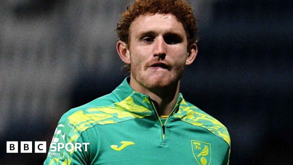 Josh Sargent: Norwich striker out until new year because of injury