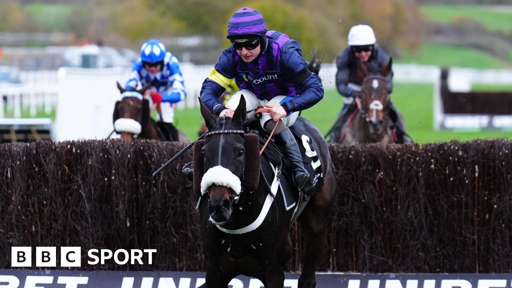 Three horses die during racing at Cheltenham