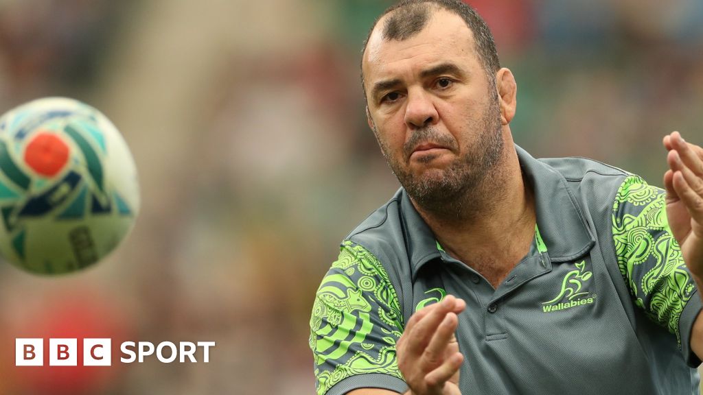 Michael Cheika takes on Argentina advisor role for Rugby Championship