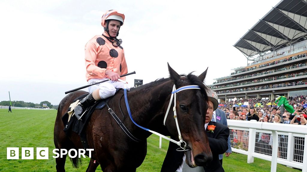 Black Caviar - unbeaten in 25 races - dies aged 17