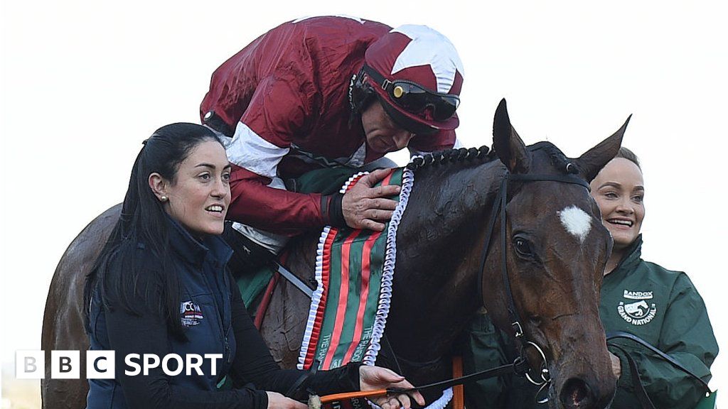 Grand National: Triumphant Tiger Roll becomes a 'rock star' racehorse ...