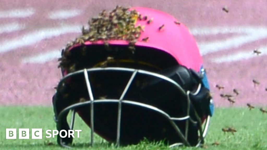 South Africa v Sri Lanka: Bees stop play in third ODI