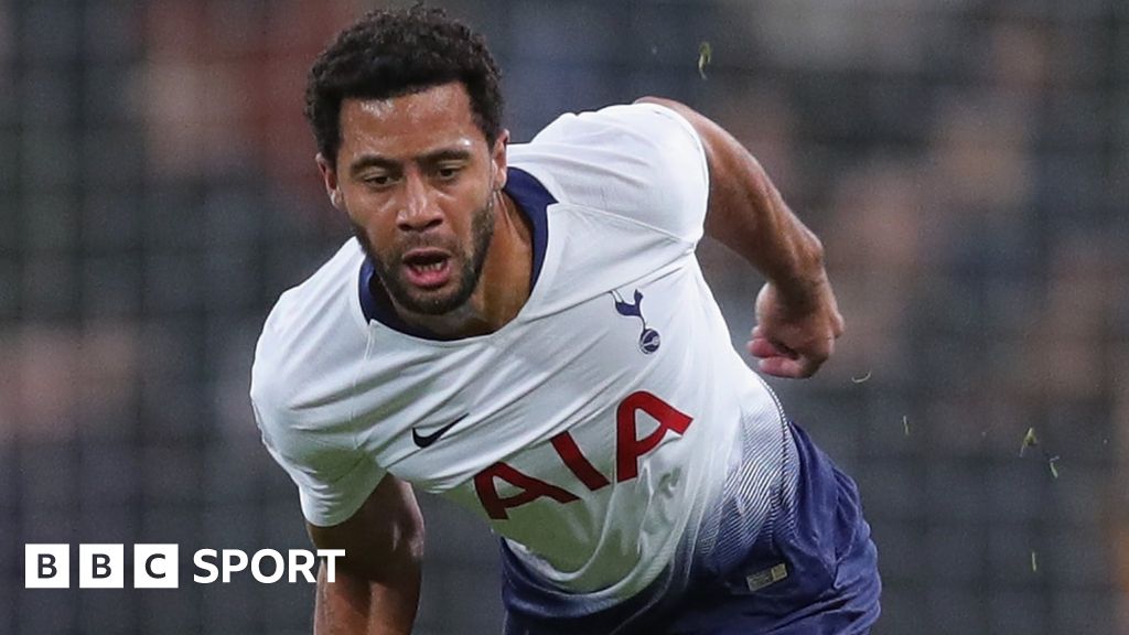 Mousa Dembele: Tottenham midfielder set for £11m Beijing Guoan move - BBC  Sport