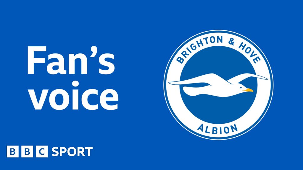 Brighton News: Opinion – Hurzeler’s Seagulls have found a way to win