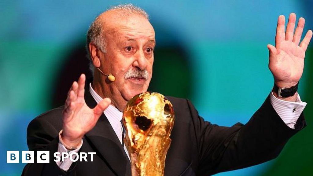 Spain hire Del Bosque to supervise football federation