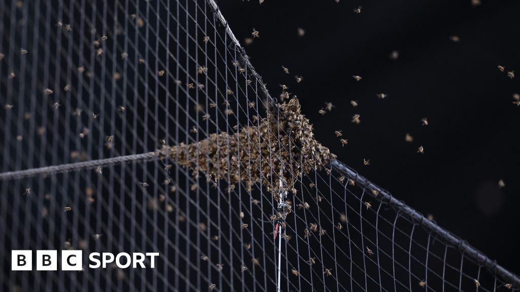 Пчела swarm забави началото на бейзболния мач от Мейджър Лийг