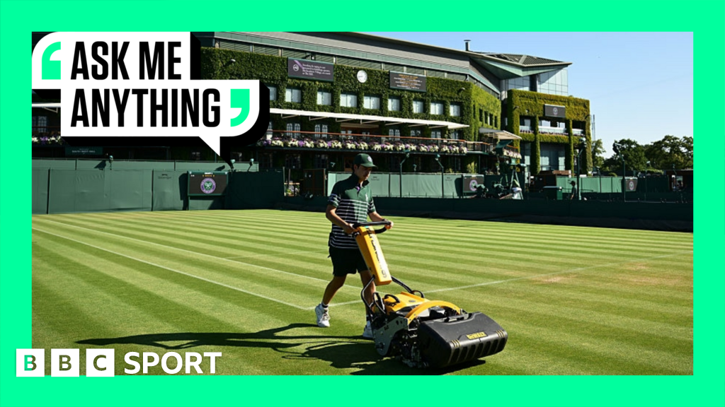bbc.co.uk - Jonty Colman - Wimbledon 2025: What are the heat rules at the tournament? - BBC Sport