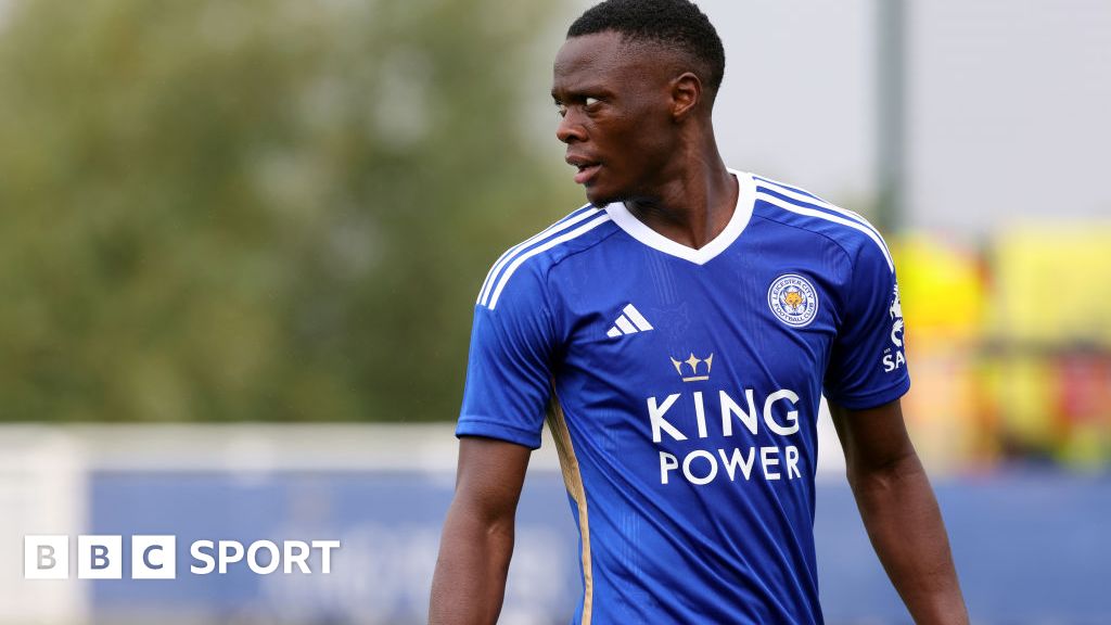 Everton to target another striker after Chermiti deal - BBC Sport