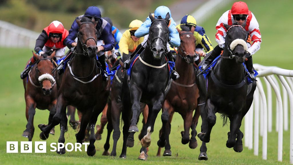 Bbc sport horse racing discount