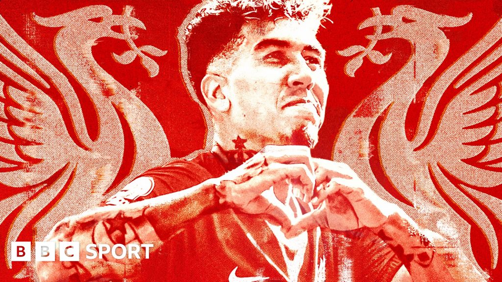 Roberto Firmino: Liverpool sign Brazil striker in £29m deal - BBC Sport