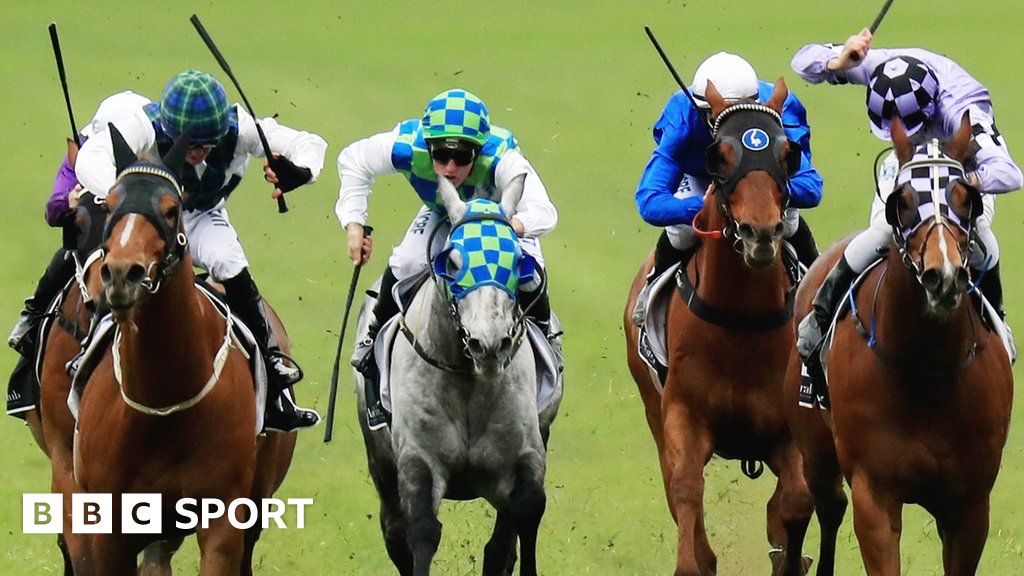 Horse racing whip rules New limits in summer Racing League BBC