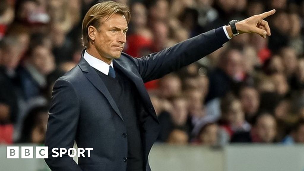 Former Lille boss Renard named new Morocco coach