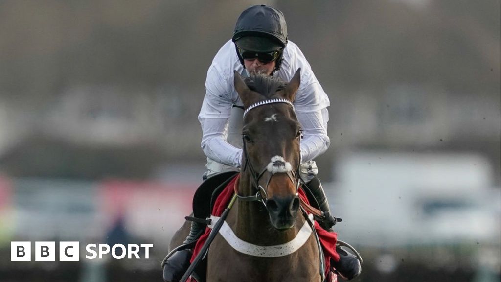 Constitution Hill faces Cheltenham fitness race