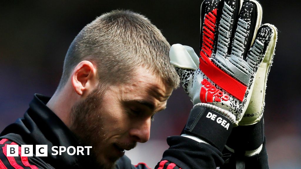 De gea best sale gloves 2019