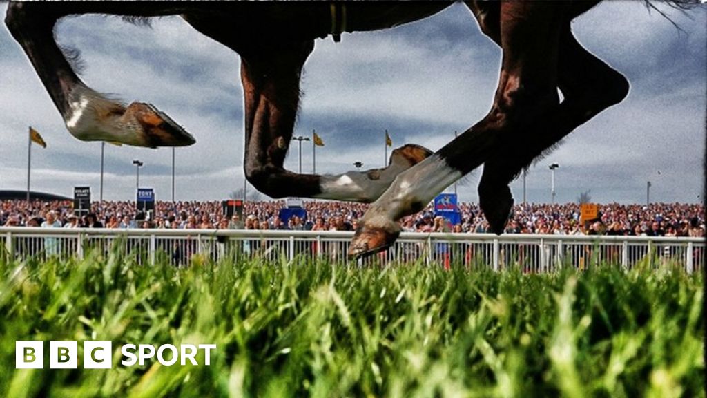 Grand National 2017 Quick guide to the big Aintree race BBC Sport