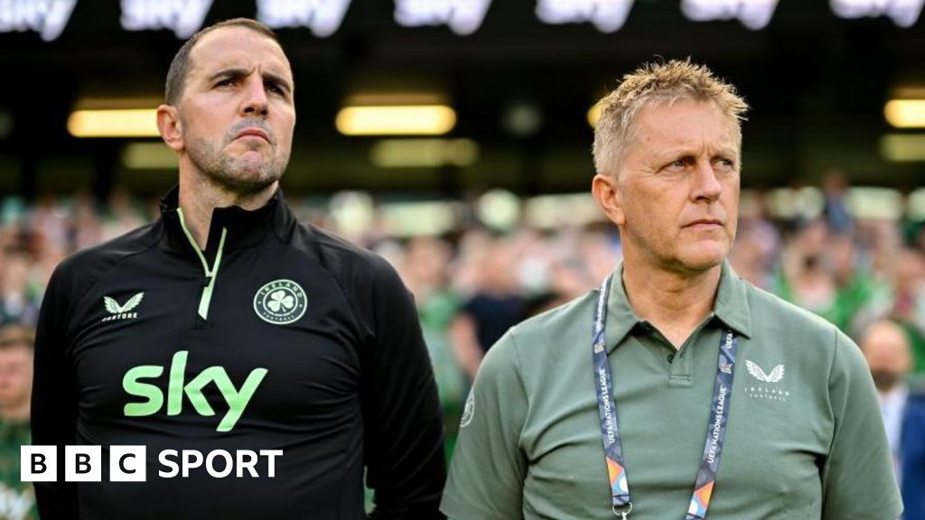 'Clear' Hallgrimsson is leading Republic of Ireland - O'Shea