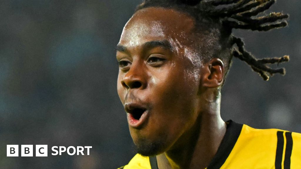 Who is Dortmund's new English star Gittens?