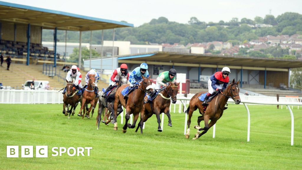 Newton Abbot horse fatalities not linked, says British Horseracing Authority