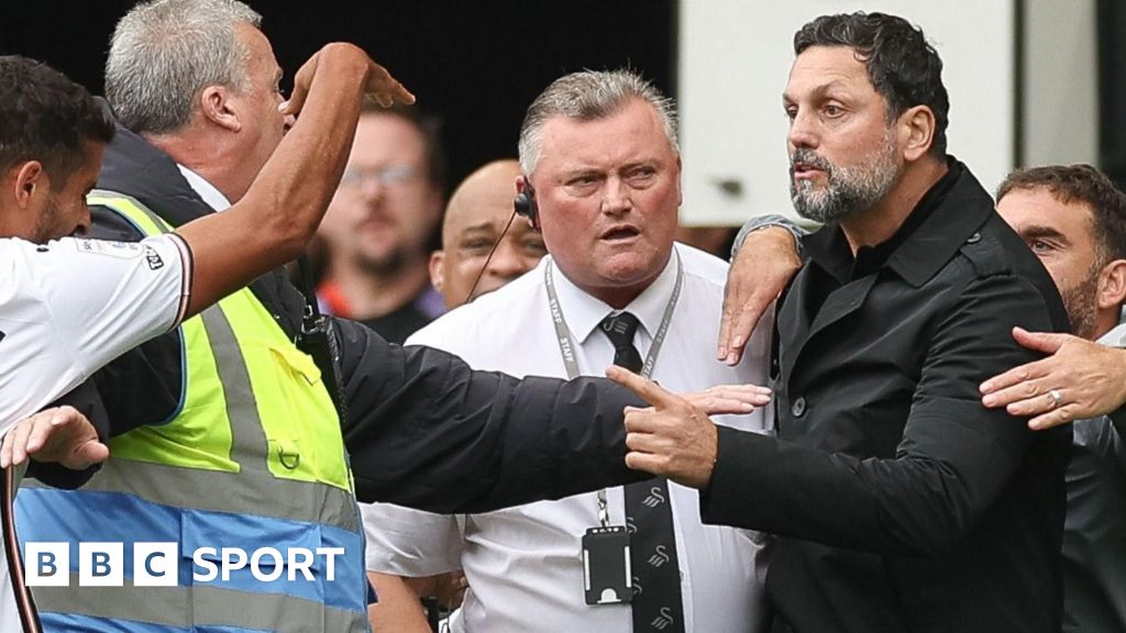 Cardiff boss Bulut banned for one game over Swansea incident