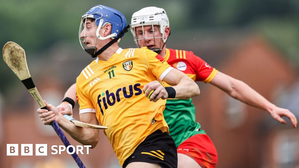 Antrim hold off Carlow to retain Leinster SHC spot