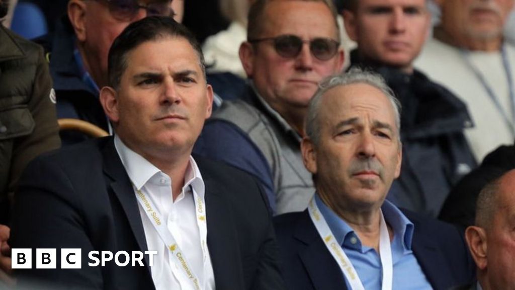 Swansea's majority owners in process of selling club