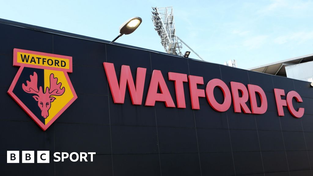 Watford to sell 10% of club to fans and investors