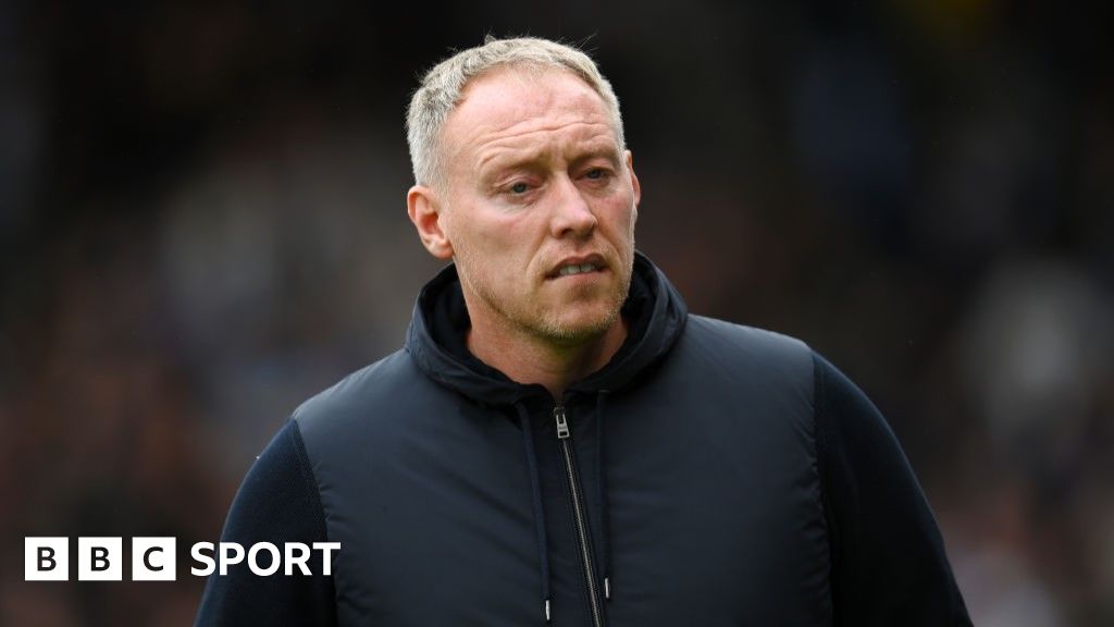 Fulham 2:1 Leicester City: What Steve Cooper said