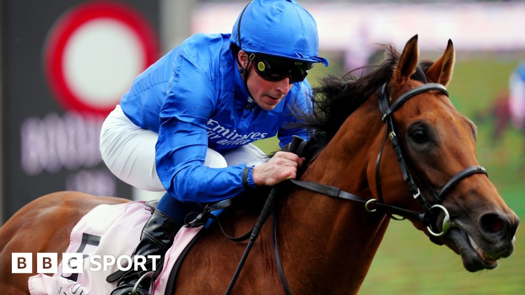Hidden Law fatally injured after Chester Vase win