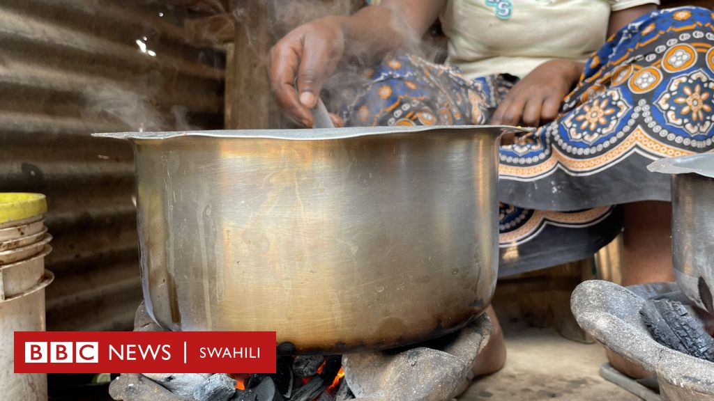 COP 27:Kwanini Mkaa Wa Kupikia Ni Hatari Kwa Afya Yako? - BBC News Swahili