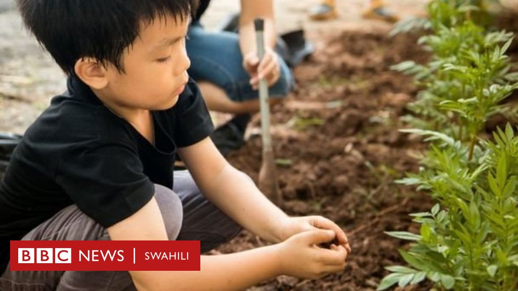 Mabadiliko Ya Tabia Nchi:Njia Rahisi Za Kukabiliana Na Mabadiliko Ya ...