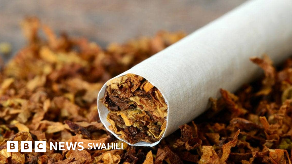 tobacco in swahili Dan DTM Kiboko 50g Karibu Kwetu on Saint John