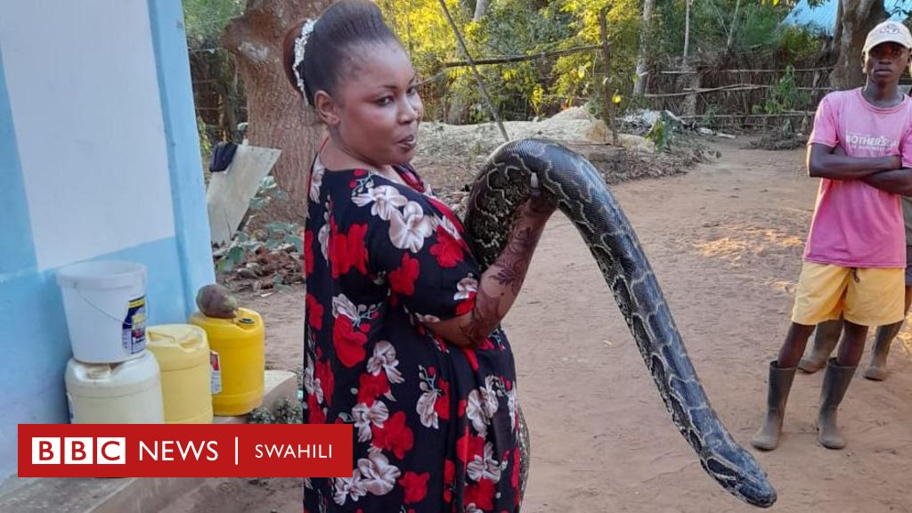 Waridi Wa Bbc Kutana Na Mwanamke Mwenye Urafiki Na Chatu Bbc News Swahili