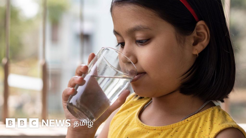 குழாய் நீர், போர்வெல் நீர், ஆர்.ஓ. சுத்திகரிப்பு நீர் - எந்த நீரை குடிப்பது உடல் நலனுக்கு உகந்தது?