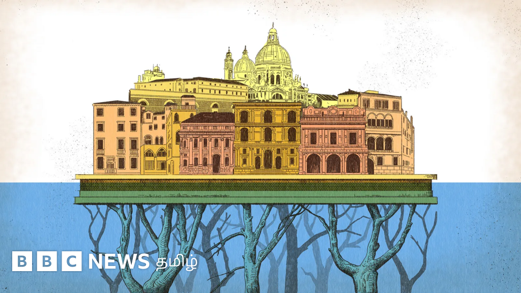 வெனிஸ் நகரம் நீரில் மூழ்கி விடாமல் 1,600 ஆண்டுகளாக காப்பாற்றி வரும் மரத்தூண்கள்