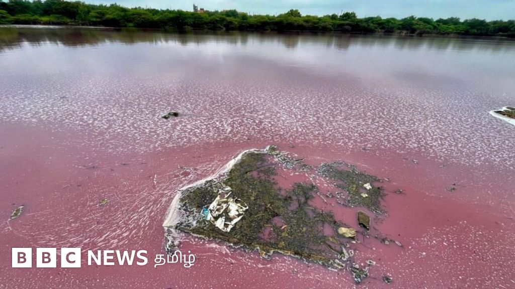 தெலுங்கானாவில் முழு ஏரியும் சிவப்பாக மாற என்ன காரணம்?