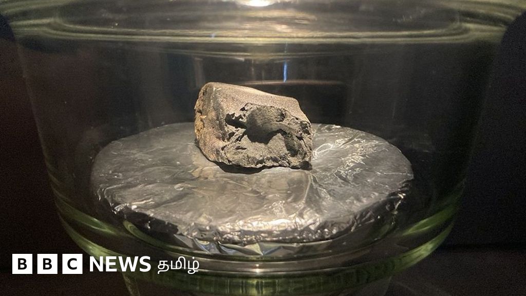 ஏலத்தில் தங்கத்தை விட அதிகமாக விலை போன விண்கல்லின் பாகங்கள்