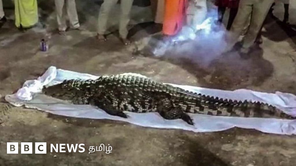 கேரளாவில் கோவில் முதலை மரணம் - மக்கள் மாலையிட்டு மரியாதை