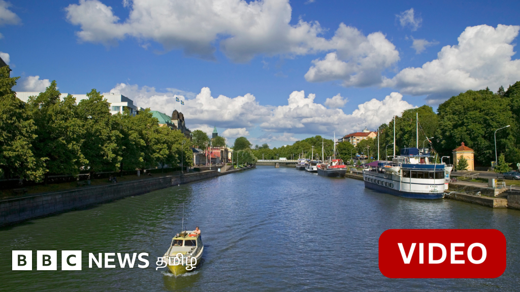 பின்லாந்து: புவியின் வெப்பநிலையைக் குறைக்க துர்கு நகரின் பெண்கள் தலைமையிலான குழு எப்படி உதவுகிறது?