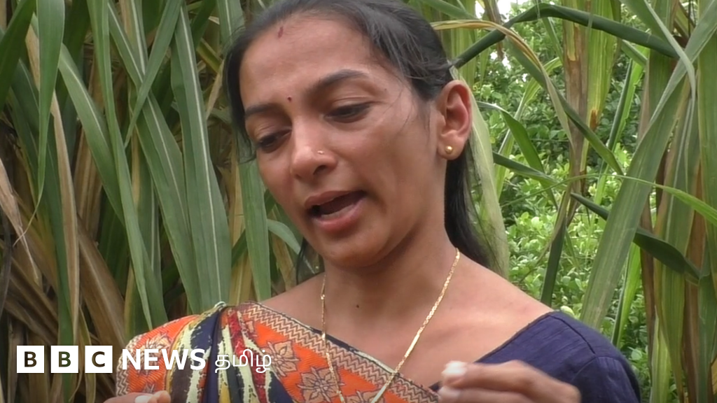 நெகிழ்ச்சிக் கதை: மகன் இறந்த பிறகு மருமகளின் மறுமணத்துக்காக புதிய மகனைத் தத்தெடுத்த பெண்