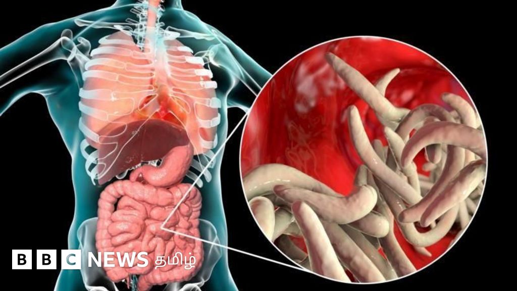 Onam seduces ogli porno video yosh