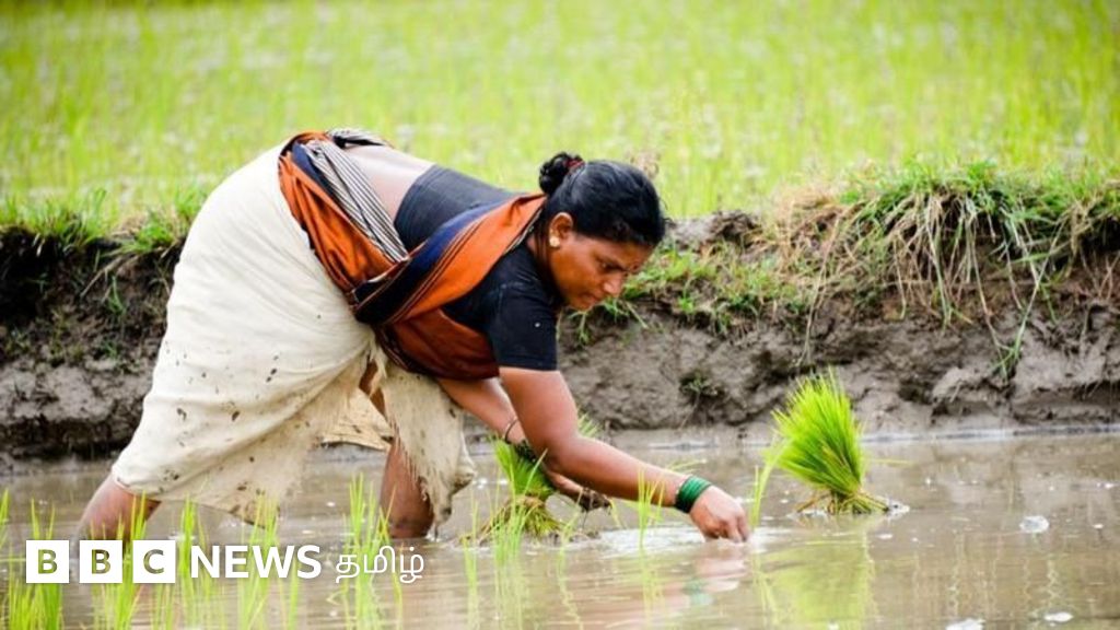 மத்திய அரசின் வேளாண் திட்டங்கள் தமிழக விவசாயிகளுக்கு லாபத்தைக் கொடுக்கின்றனவா?