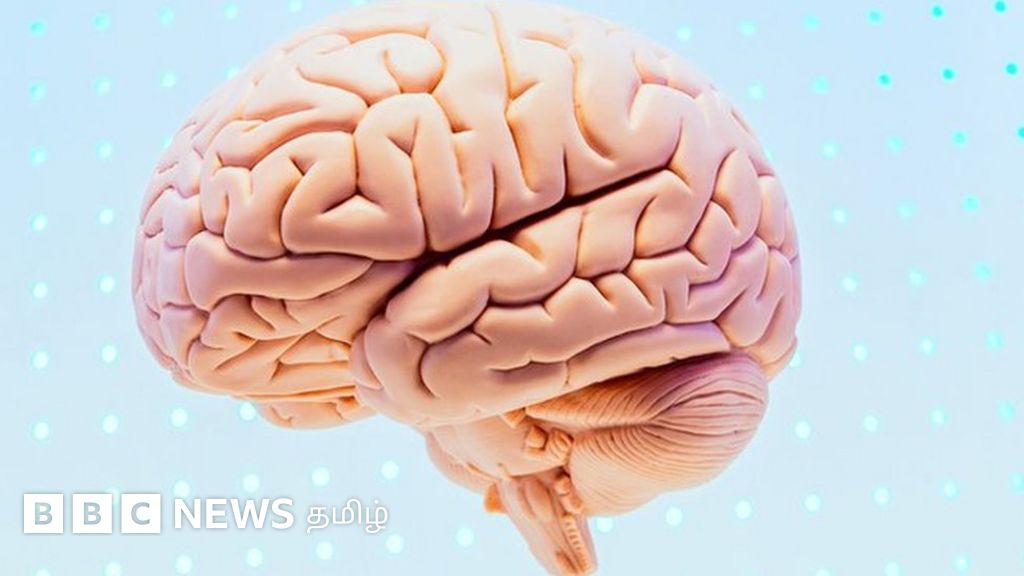 ஈலோன் மஸ்க்: மனித மூளையுடன் இணையும் தொழில்நுட்பம் ஆபத்தா? வளர்ச்சியா?