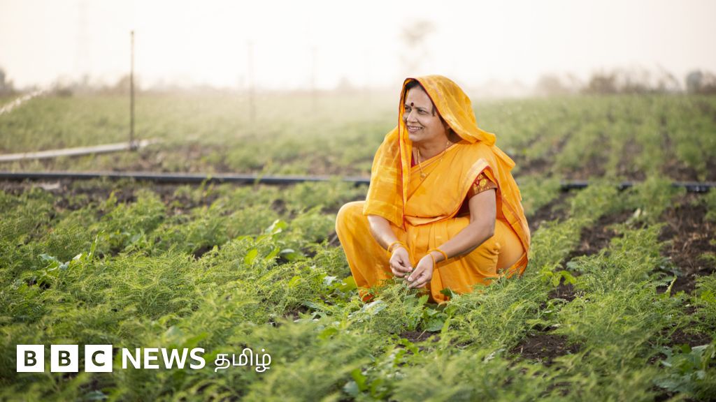 கிசான் கிரெடிட் கார்டு: ரூ.3 லட்சம் வரை கடன் பெறலாம் - விவசாயிகள் பயனடைவது எப்படி? 